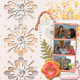 2013 D&#039;s Bridal Shower