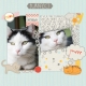 Kicia 2