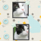 Nigel's Scrapbook Page