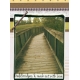 Build Bridges