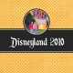 Disneyland 2010 Book Cover