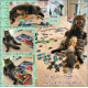 Puzzled