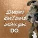 Abi Says: Dreams