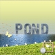 Pond