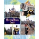 amusement park 6