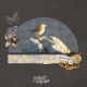 Pipit farlouse