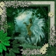 Emerald Fairy