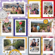Week 31b August 2024