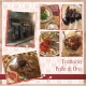 Trattoria Palle di Oro- Firenze