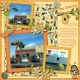 Honeybee on Southern California I-5
