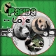 Panda Love