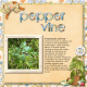 Pepper Vine