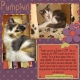 Providing for Paws &quot;Pumpkin&quot;