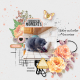 Collected Curiosities Kit #8