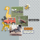 Travel Edition: Animals Bundle