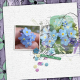 Forget me not (collection) by Art &amp; Life Scraps