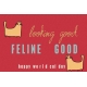 Feline Good