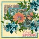 Colorful Spring (ADB Designs)