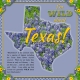 I&#039;m WILD about Texas!