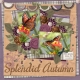 Splendid Autumn (Janet Scott)