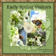 Early Spring Visitors (proj by poki)