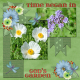 Time began in God&#039;s Garden (SCR)