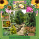 Botanical Gardens of the Ozarks 7 (adb)