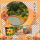 Autumn in the garden-b...6scr