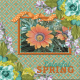 Colorful Spring-b...5wd