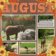 AUGUST is TOO HOT at the ZOO...6scr
