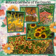 BOTANIC GARDEN OF THE OZARKS...3cpjess