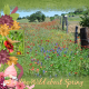 I'm wild about Spring-4...6scr