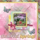 Colorful Spring!