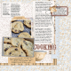 Toll House Cookies