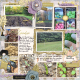 Sep &#039;24: Fall Garden