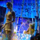 WINDOWSHOPING in London- The best HARRODS in 2014