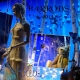 HARROD&#039;S WINDOWS IN BLUE 