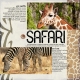 Giraffe &amp; Zebra Safari