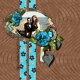 Tyler and Heather: Prom 2013