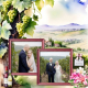 Vineyard Wedding