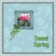 Sweet Spring