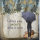 I Miss You Most When it Rains