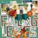 Falling Leaves (Fall Summary)