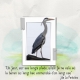 the heron