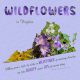 Virginia Wildflowers