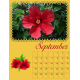 2022 Calendar August Hibiscus