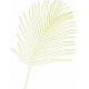 Palm Branch Outline 01 - Template