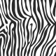 Paper 202- Zebra Print Overlay