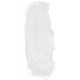 Brush #029- Gesso 24