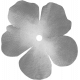 Flower Template 04